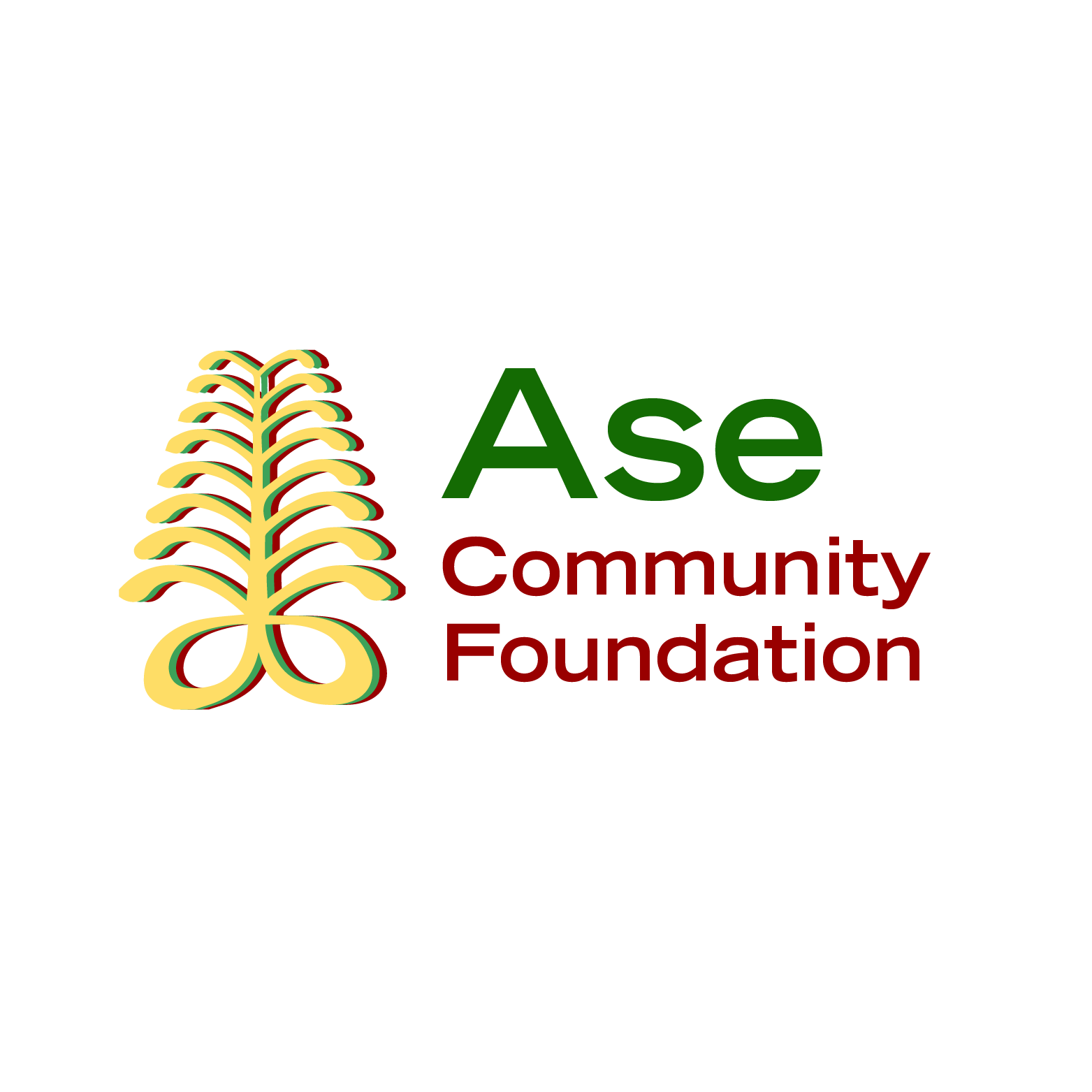 Ase Community Foundation for Black Canadians with Disabilities